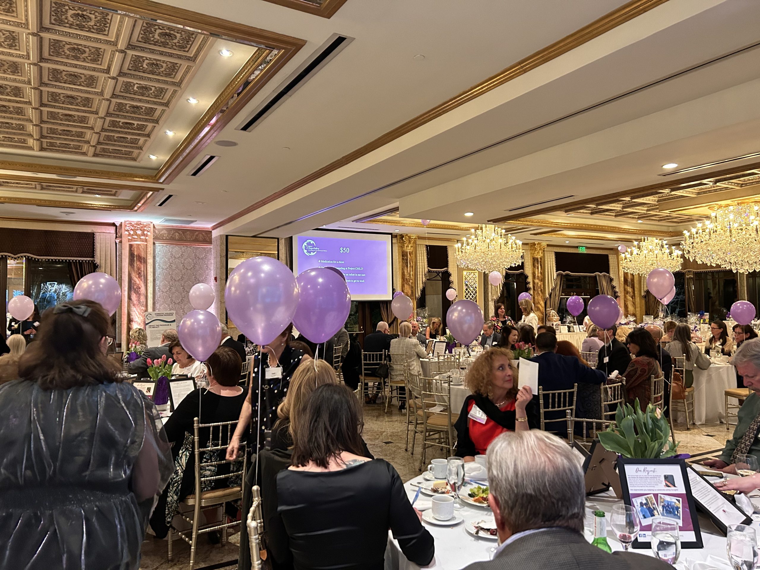 Center for Hope & Safety's 2023 Evening of Hope