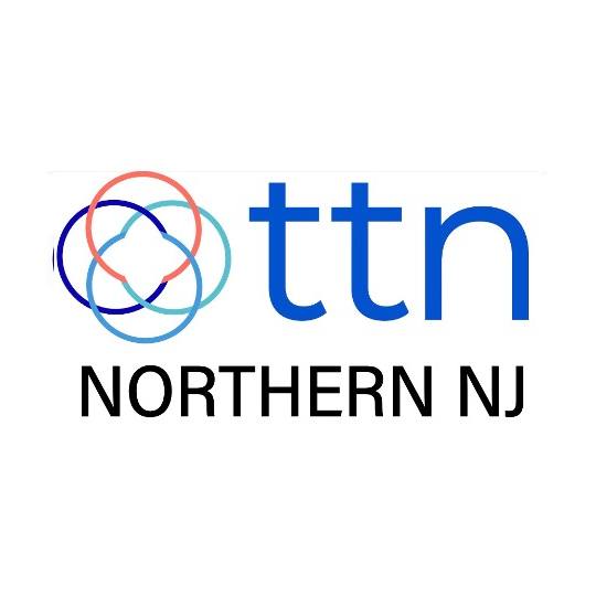 The Transition Network Northern NJ logo