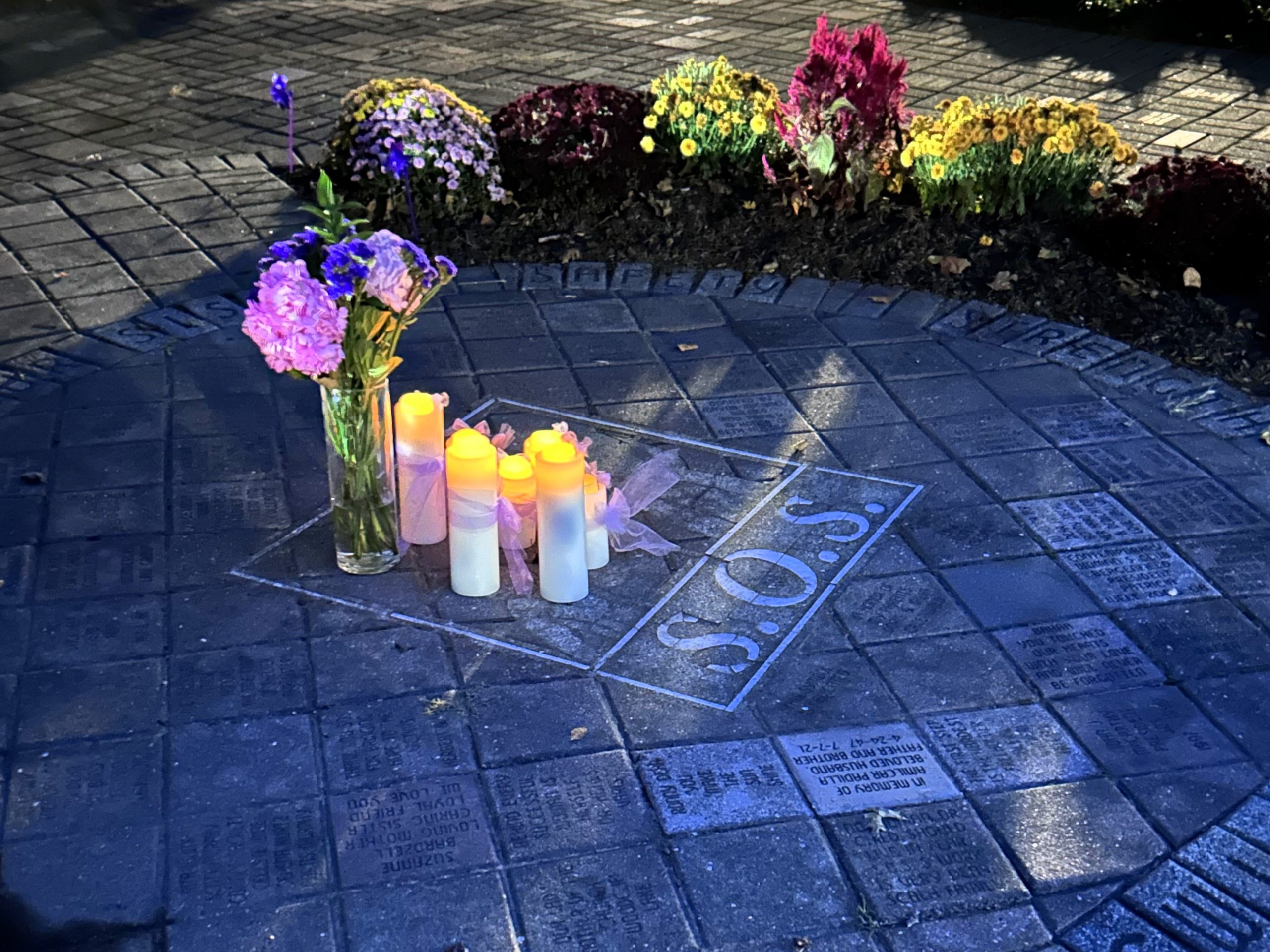 Light Up the Night Against Domestic Violence - Center for Hope & Safety