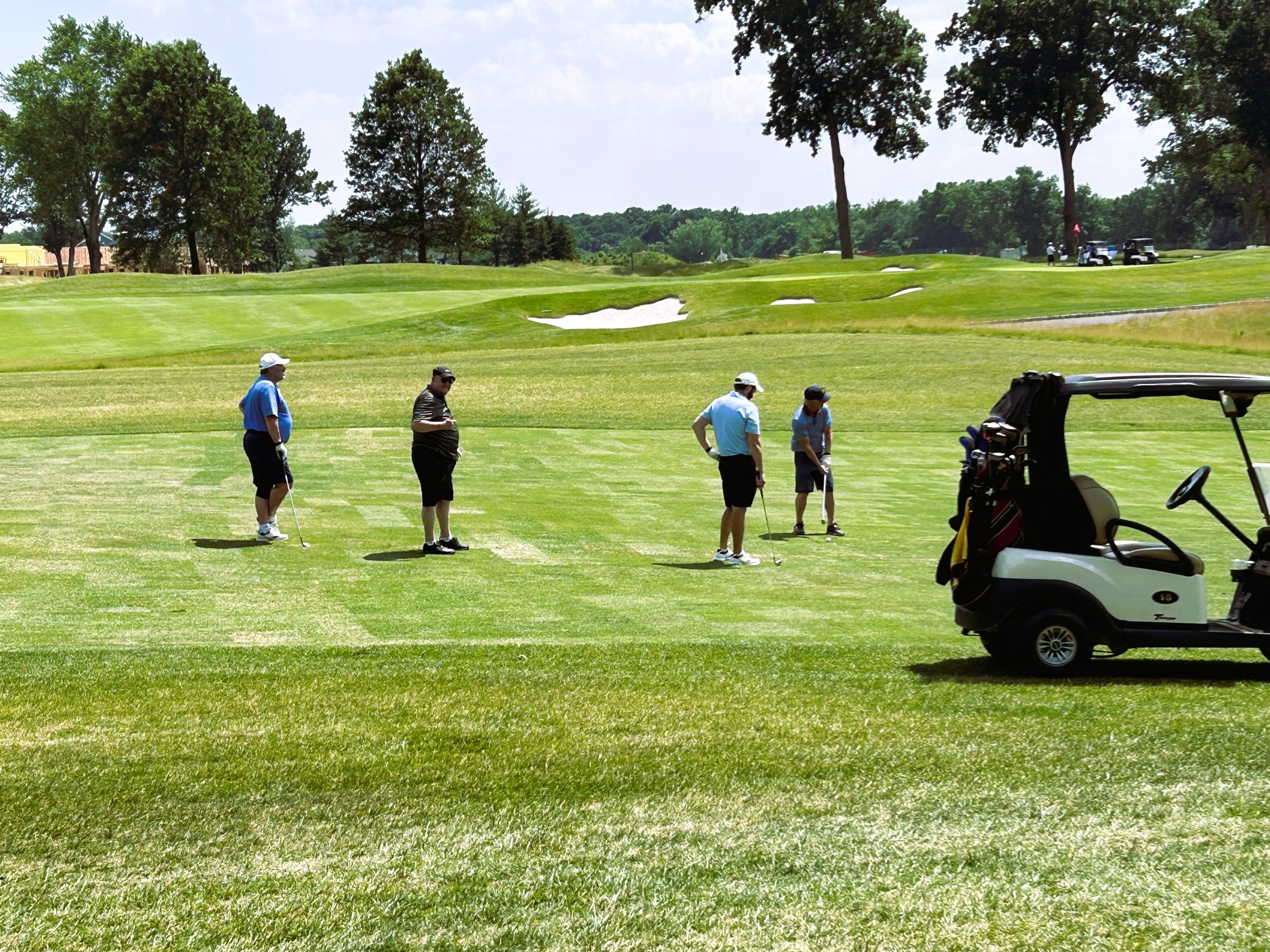 golf foursome at hole